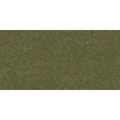 Обои виниловые Alessandro Allori Breeze 10,05х1,06 м (RDT2209-7)