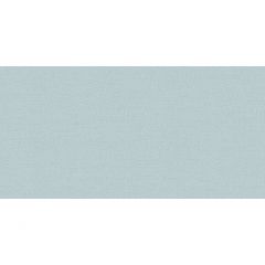 Обои виниловые Alessandro Allori Breeze 10,05х1,06 м (RDT2210-4)