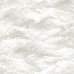 Обои виниловые Alessandro Allori Barbara 10.05х1.06 м (2601-5RWA)