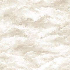Обои виниловые Alessandro Allori Barbara 10.05х1.06 м (2601-6RWA)