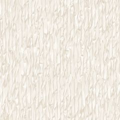 Обои виниловые Alessandro Allori Barbara 10.05х1.06 м (2602-8RWA)