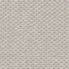 Обои виниловые Alessandro Allori Barbara 10.05х1.06 м (2609-2RWA)