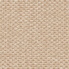 Обои виниловые Alessandro Allori Barbara 10.05х1.06 м (2609-4RWA)