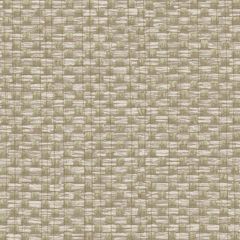 Обои виниловые Alessandro Allori Barbara 10.05х1.06 м (2609-7RWA)