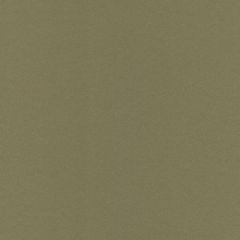Обои виниловые Grandeco Life Jungle Fever 10,05x0,53 м (JF1214)