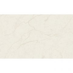 Обои виниловые на Флизелине Grandeco Tango 10.05 х 1.06 м (R125102)