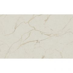 Обои виниловые на Флизелине Grandeco Tango 10.05 х 1.06 м (R125122)