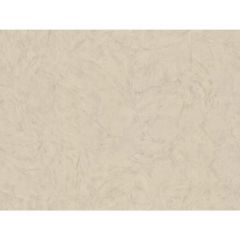 Обои виниловые Zambaiti Parati Trussardi 6 10,05х1,06 м (Z46044)