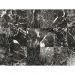Панно виниловое на флизелине Zambaiti Architexture 5,10 x 3.00 м (23077)