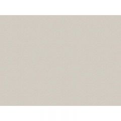 Обои виниловые на флизелине Zambaiti Parati Phillip Plein 10х0,7 м (Z80059)