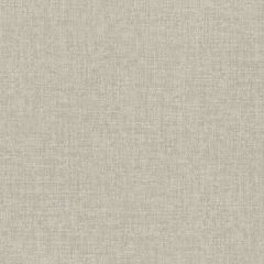Обои Rasch Metal Spirit 1.06x10.05 (970517)