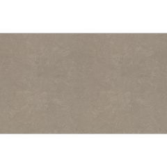Обои Rasch Metal Spirit 1.06x10.05 (977141)
