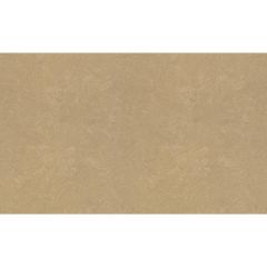 Обои Rasch Metal Spirit 1.06x10.05 (977165)
