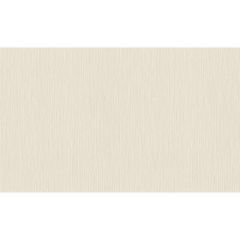Обои Rasch Metal Spirit 1.06x10.05 (977226)