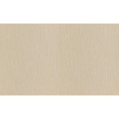 Обои Rasch Metal Spirit 1.06x10.05 (977233)