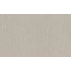 Обои Rasch Metal Spirit 1.06x10.05 (977257)