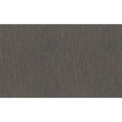 Обои Rasch Metal Spirit 1.06x10.05 (977318)
