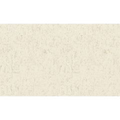 Обои Rasch Metal Spirit 1.06x10.05 (977400)