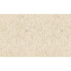 Обои Rasch Metal Spirit 1.06x10.05 (977417)