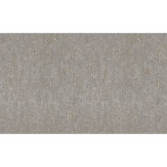 Обои Rasch Metal Spirit 1.06x10.05 (977424)