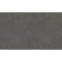 Обои Rasch Metal Spirit 1.06x10.05 (977448)
