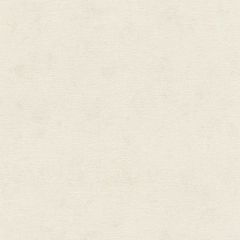 Обои Rasch Natural Colors 0.53x10.05 (408126)