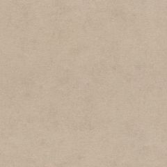 Обои Rasch Natural Colors 0.53x10.05 (408164)