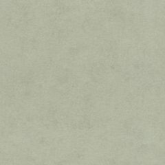 Обои Rasch Natural Colors 0.53x10.05 (408171)