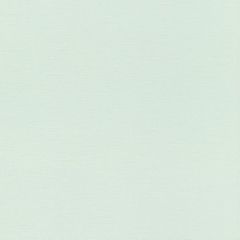 Обои Rasch Natural Colors 0.53x10.05 (531428)