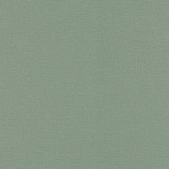 Обои Rasch Natural Colors 0.53x10.05 (555936)