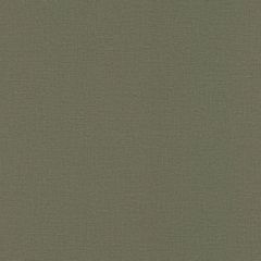 Обои Rasch Natural Colors 0.53x10.05 (555943)
