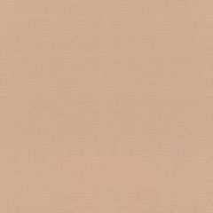 Обои Rasch Natural Colors 0.53x10.05 (687576)