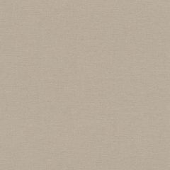 Обои Rasch Salsa 0.53x10.05 (448566)