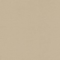 Обои Rasch Salsa 0.53x10.05 (449815)