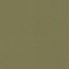 Обои Rasch Salsa 0.53x10.05 (452068)