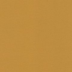 Обои Rasch Salsa 0.53x10.05 (452075)