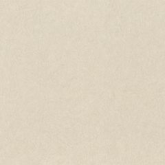 Обои Rasch Trend 1.06x10.05 (947465)