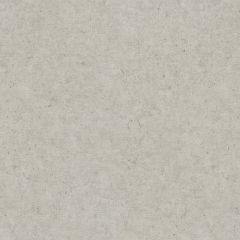 Обои Rasch Trend 1.06x10.05 (974225)