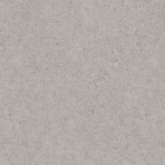 Обои Rasch (Раш) Trend 1.06x10.05 (974249)