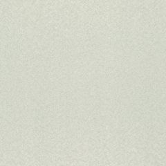Обои Rasch Trend 1.06x10.05 (975338)