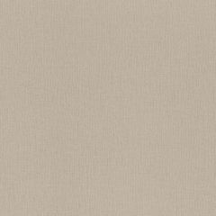 Обои Rasch Trend 1.06x10.05 (975550)