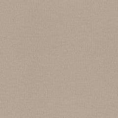Обои Rasch Trend 1.06x10.05 (975567)