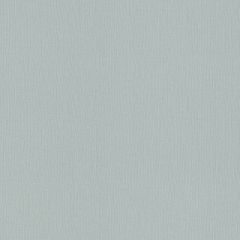 Обои Rasch Trend 1.06x10.05 (975581)