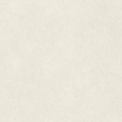 Обои Rasch Wall Textures Xl III 1.06x10.05 (957327)