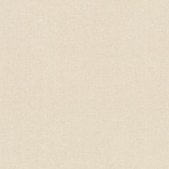 Обои Rasch Wall Textures Xl III 1.06x10.05 (961911)