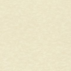 Обои Rasch Wall Textures Xl III 1.06x10.05 (964813)