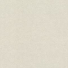 Обои Rasch Wall Textures Xl III 1.06x10.05 (965025)