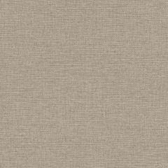 Обои Rasch Wall Textures Xl III 1.06x10.05 (970647)