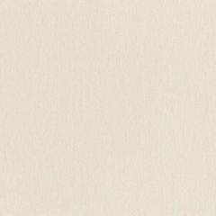 Обои Rasch Wall Textures Xl III 1.06x10.05 (979343)