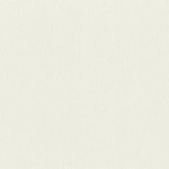 Обои Rasch Wall Textures Xl III 1.06x10.05 (979350)